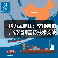 格力董明珠:坚持用铜,铝代铜需待技术突破(图4) 格力董明珠:坚持用铜,铝代铜需待技术突破(图4)