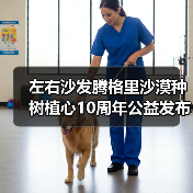 左右沙发腾格里沙漠种树植心10周年公益发布会圆满举行（图4）
