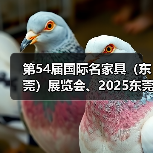 第54届国际名家具（东莞）展览会、2025东莞国际设计周盛大开幕（图2）