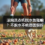 滚筒洗衣机脱水轰隆响？不脱水不响原因解析及解决方法（图4）
