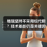 格瑞坚持不采用铝代铜？技术差距仍是关键因素（图4）