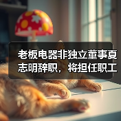 老板电器非独立董事夏志明辞职，将担任职工代表董事（图1）