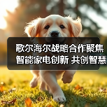 歌尔海尔战略合作聚焦智能家电创新 共创智慧生活（图3）
