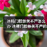 冰箱门胶条关不严怎么办 冰箱门胶条关不严的维修技巧及注意事项【详解】(图4) 冰箱门胶条关不严怎么办 冰箱门胶条关不严的维修技巧及注意事项【详解】(图4)