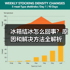冰箱结冰怎么回事?原因和解决方法全解析(图2) 冰箱结冰怎么回事?原因和解决方法全解析(图2)