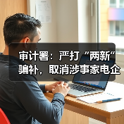 审计署：严打“两新”骗补，取消涉事家电企业资格