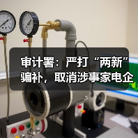 审计署:严打“两新”骗补,取消涉事家电企业资格(图3) 审计署:严打“两新”骗补,取消涉事家电企业资格(图3)