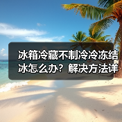 冰箱冷藏不制冷冷冻结冰怎么办？解决方法详解（图4）