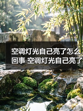 空调灯光自己亮了怎么回事 空调灯光自己亮了解决方法【详解】（图2）