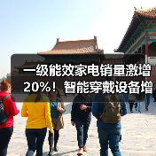 一级能效家电销量激增20%!智能穿戴设备增速超40%(图4) 一级能效家电销量激增20%!智能穿戴设备增速超40%(图4)
