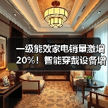一级能效家电销量激增20%!智能穿戴设备增速超40%(图3) 一级能效家电销量激增20%!智能穿戴设备增速超40%(图3)