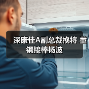 深康佳A副总裁换将 董钢接棒杨波（图2）