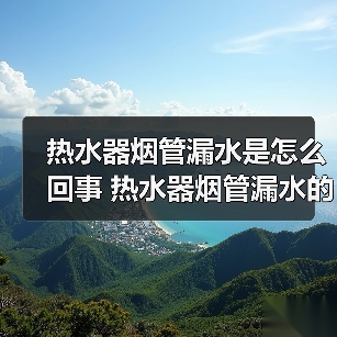 热水器烟管漏水是怎么回事 热水器烟管漏水的原因及解决方法【详解】(图3) 热水器烟管漏水是怎么回事 热水器烟管漏水的原因及解决方法【详解】(图3)