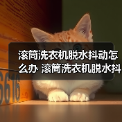 滚筒洗衣机脱水抖动怎么办 滚筒洗衣机脱水抖动解决方法【详解】（图4）