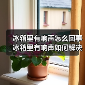 冰箱里有响声怎么回事 冰箱里有响声如何解决【详解】（图3）