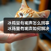 冰箱里有响声怎么回事 冰箱里有响声如何解决【详解】（图4）