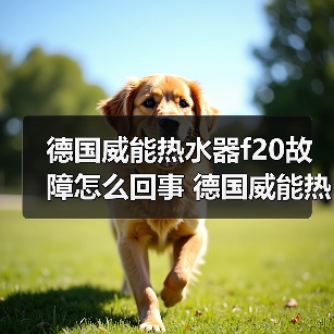 德国威能热水器f20故障怎么回事 德国威能热水器f20故障原因及解决方法【详解】（图2）