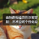 曲阳路街道异形沙发定制：艺术空间个性化设计全解析