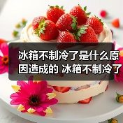 冰箱不制冷了是什么原因造成的 冰箱不制冷了原因及解决方法【详解】（图2）