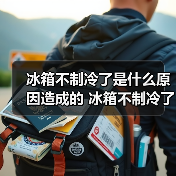 冰箱不制冷了是什么原因造成的 冰箱不制冷了原因及解决方法【详解】（图4）