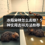 冰箱异味怎么去除？5种实用去味方法推荐（图4）