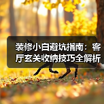 装修小白避坑指南：客厅玄关收纳技巧全解析（图3）
