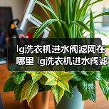 lg洗衣机进水阀滤网在哪里 lg洗衣机进水阀滤网安装位置及清洁方法【详解】