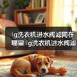 lg洗衣机进水阀滤网在哪里 lg洗衣机进水阀滤网安装位置及清洁方法【详解】（图3）