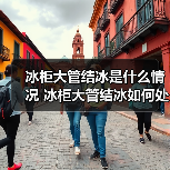 冰柜大管结冰是什么情况 冰柜大管结冰如何处理【详解】(图3) 冰柜大管结冰是什么情况 冰柜大管结冰如何处理【详解】(图3)