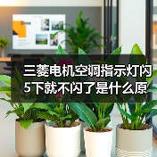 三菱电机空调指示灯闪5下就不闪了是什么原因 三菱电机空调指示灯闪5下就不闪了解决方法【详解】(图3) 三菱电机空调指示灯闪5下就不闪了是什么原因 三菱电机空调指示灯闪5下就不闪了解决方法【详解】(图3)