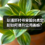 彭浦新村书室前台桌定制如何提升空间美感?(图4) 彭浦新村书室前台桌定制如何提升空间美感?(图4)