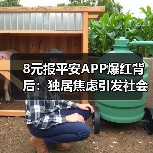 8元报平安APP爆红背后:独居焦虑引发社会热议(图3) 8元报平安APP爆红背后:独居焦虑引发社会热议(图3)