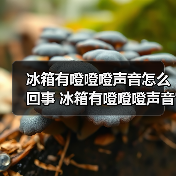 冰箱有噔噔噔声音怎么回事 冰箱有噔噔噔声音原因及解决方法【详解】(图4) 冰箱有噔噔噔声音怎么回事 冰箱有噔噔噔声音原因及解决方法【详解】(图4)