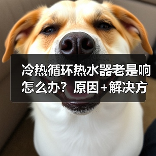 冷热循环热水器老是响怎么办?原因+解决方法全解析(图3) 冷热循环热水器老是响怎么办?原因+解决方法全解析(图3)
