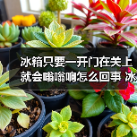 冰箱只要一开门在关上就会嗡嗡响怎么回事 冰箱只要一开门在关上就会嗡嗡响原因【详解】（图4）