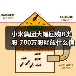 小米集团大幅回购B类股 700万股释放什么信号？（图2）