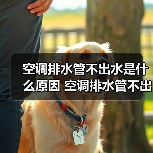 空调排水管不出水是什么原因 空调排水管不出水原因分析【详解】(图1) 空调排水管不出水是什么原因 空调排水管不出水原因分析【详解】(图1)