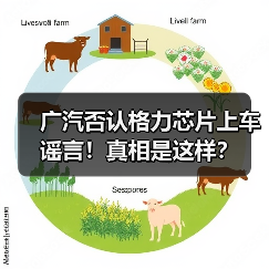 广汽否认格力芯片上车谣言！真相是这样？（图2）