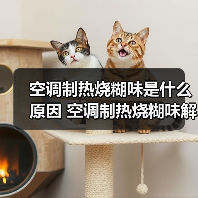 空调制热烧糊味是什么原因 空调制热烧糊味解决方法【详解】（图2）