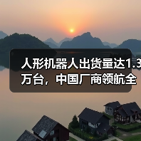 人形机器人出货量达1.3万台,中国厂商领航全球市场(图2) 人形机器人出货量达1.3万台,中国厂商领航全球市场(图2)