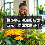 拼多多涉税违规被罚10万元,原因竟是这样?(图2) 拼多多涉税违规被罚10万元,原因竟是这样?(图2)