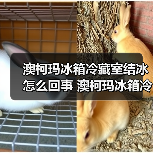 澳柯玛冰箱冷藏室结冰怎么回事 澳柯玛冰箱冷藏室结冰的原因【详解】(图4) 澳柯玛冰箱冷藏室结冰怎么回事 澳柯玛冰箱冷藏室结冰的原因【详解】(图4)