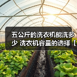 五公斤的洗衣机能洗多少 洗衣机容量的选择【详解】（图4）
