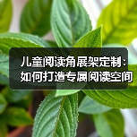 儿童阅读角展架定制:如何打造专属阅读空间?(图4) 儿童阅读角展架定制:如何打造专属阅读空间?(图4)