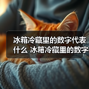 冰箱冷藏里的数字代表什么 冰箱冷藏里的数字介绍及使用建议【详解】(图2) 冰箱冷藏里的数字代表什么 冰箱冷藏里的数字介绍及使用建议【详解】(图2)