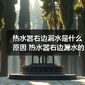 热水器右边漏水是什么原因 热水器右边漏水的原因及解决方法【详解】(图2) 热水器右边漏水是什么原因 热水器右边漏水的原因及解决方法【详解】(图2)