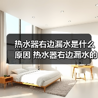 热水器右边漏水是什么原因 热水器右边漏水的原因及解决方法【详解】(图3) 热水器右边漏水是什么原因 热水器右边漏水的原因及解决方法【详解】(图3)