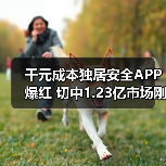 千元成本独居安全APP爆红 切中1.23亿市场刚需(图3) 千元成本独居安全APP爆红 切中1.23亿市场刚需(图3)