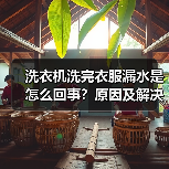 洗衣机洗完衣服漏水是怎么回事?原因及解决方法揭秘(图4) 洗衣机洗完衣服漏水是怎么回事?原因及解决方法揭秘(图4)