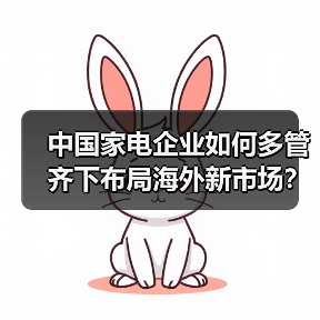 中国家电企业如何多管齐下布局海外新市场?(图2) 中国家电企业如何多管齐下布局海外新市场?(图2)
